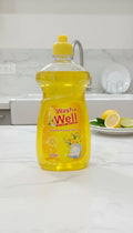 Dish Wash (475 ml)
